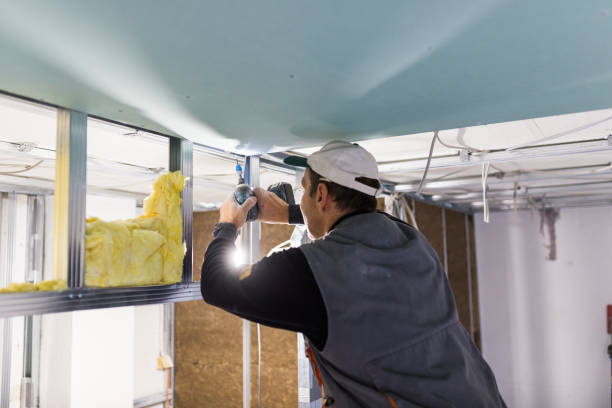 Best Insulation for New Construction  in Winterville, NC