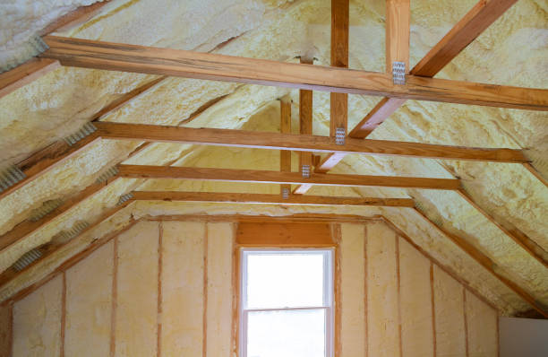 Best Cellulose Insulation  in Winterville, NC