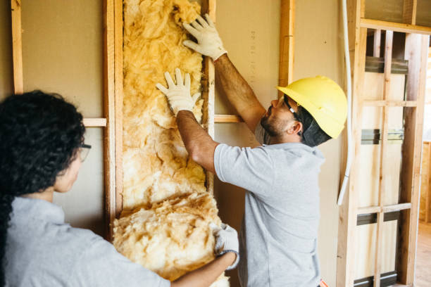 Best Insulation Removal  in Winterville, NC