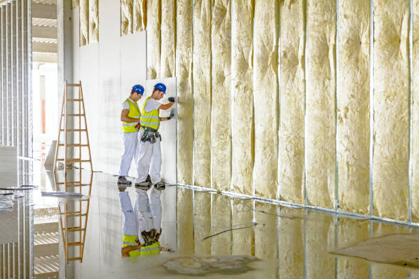 Best Garage Insulation Installation  in Winterville, NC